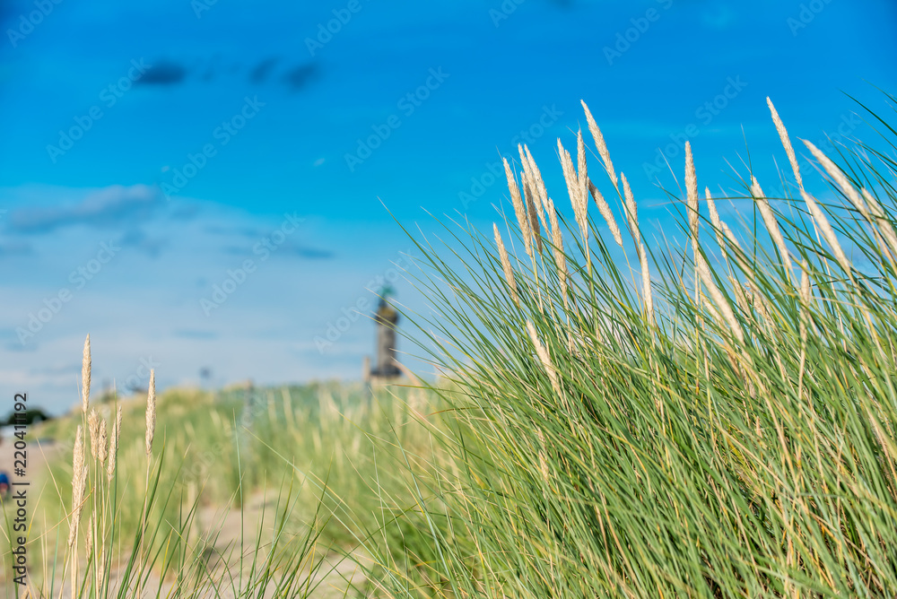 Obraz premium lighthouse with dunes and grass