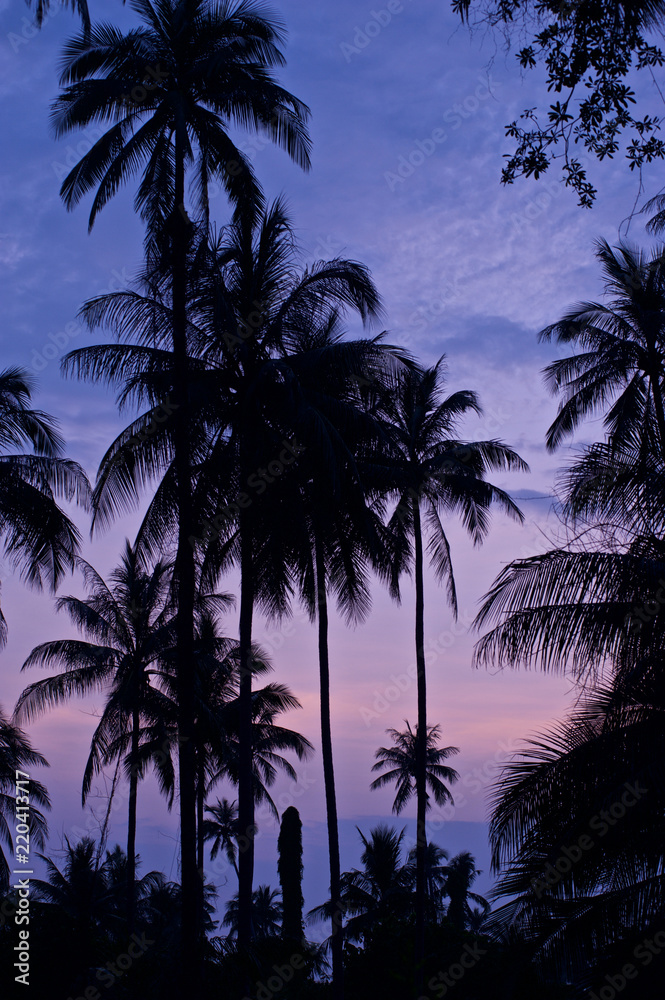 Fototapeta premium Tropical Scene with Palm Trees and a beautiful Pink Sunset