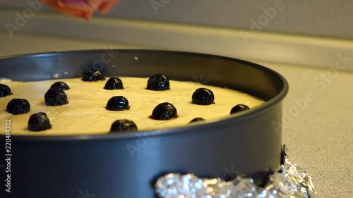 Laying blueberries on the cheesecake in baking form before baking in oven. photo