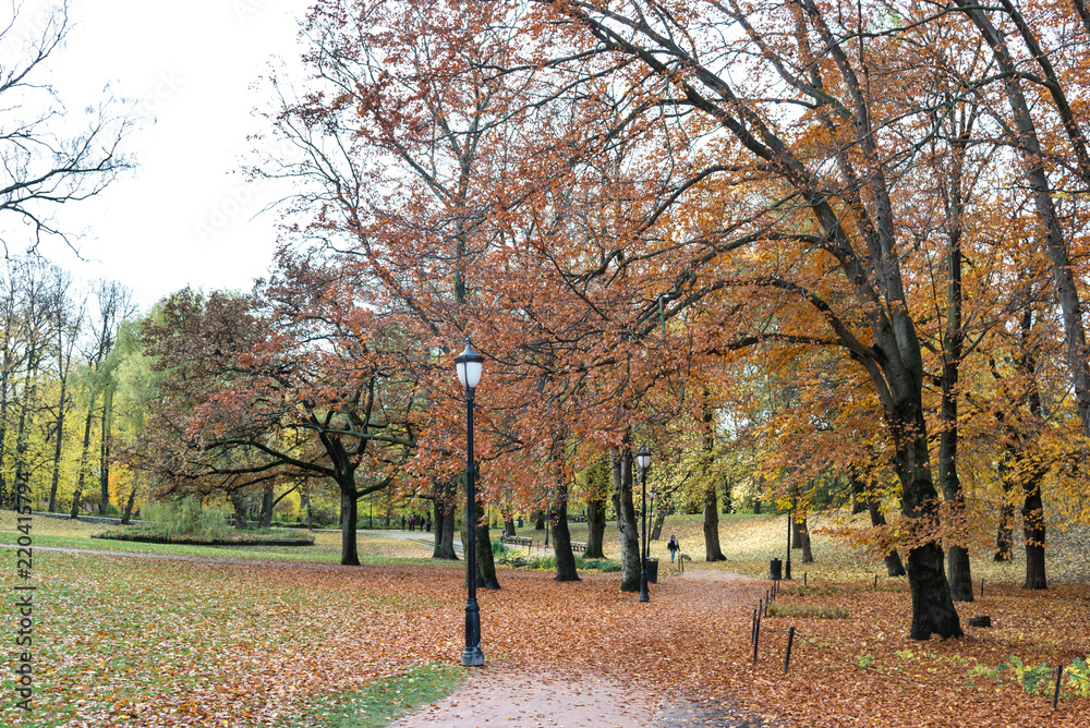 Oslo royal palace garden park, view from parkway alley boulevard avenue with autumn leaves, norway, europe