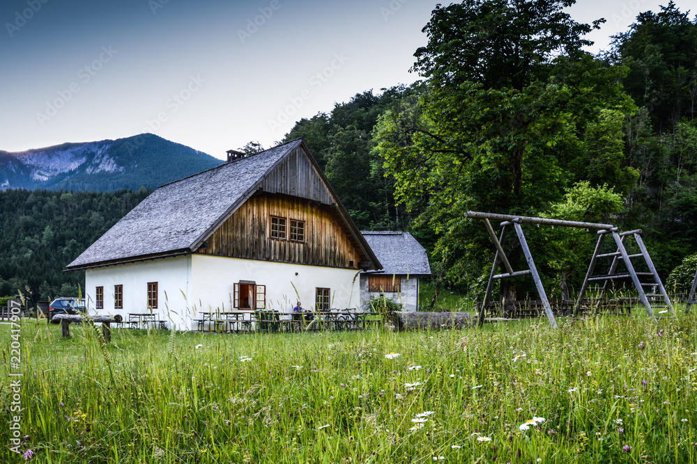 Fototapeta premium hut and flower meadow Austria Boddinggraben Moll Upperaustria