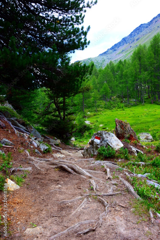 Wanderweg durch Südtirols Bergwelt Wanderweg durch Südtirols Bergwelt