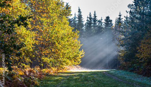 Light shafts