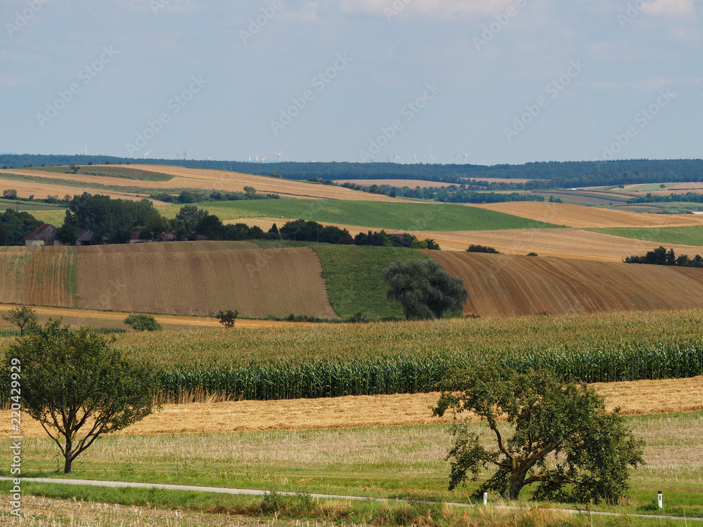 Fototapeta premium Hilly landscape