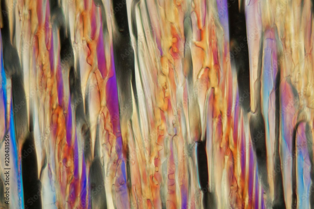 Frozen beer under a microscope, Keller beer.