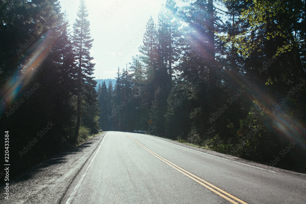 Obraz premium Road trippin