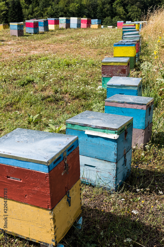 Colorful beehives in a field near Mount Olympus in Greece Colorful beehives in a field near Mount Olympus in Greece