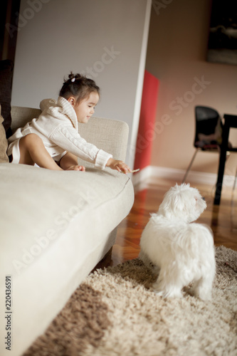 Little girl playing with white dog in the room