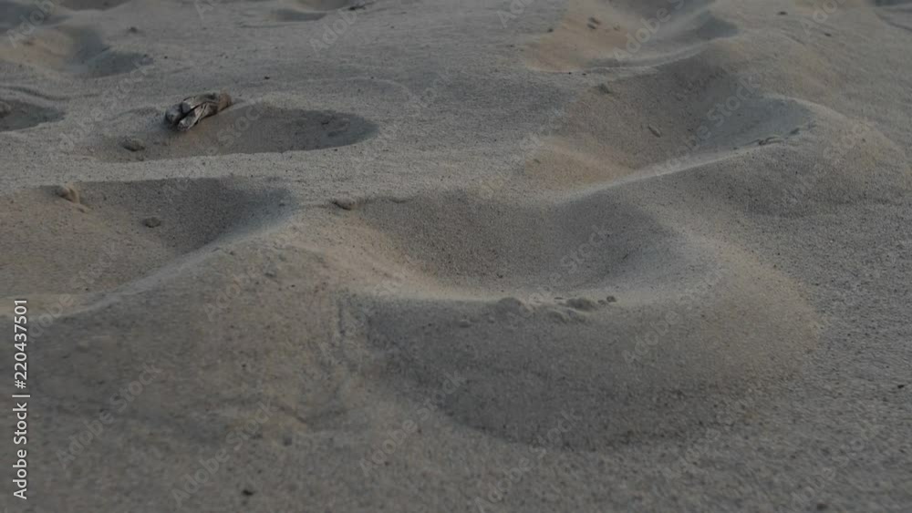Sandy warm beach. Sandy warm beach.