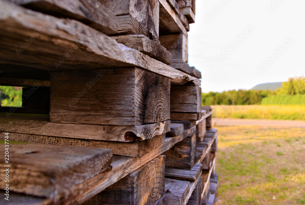 euro pallet nature background