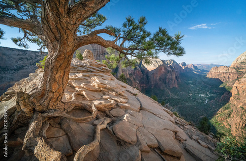 Couples epic summit to Angels Landing - Zion National Park