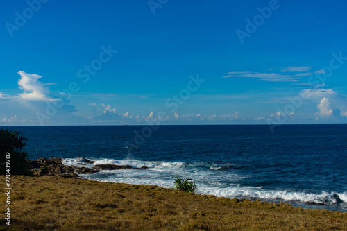 Grassy Land and Sea