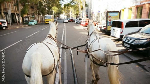 The white coach is riding down the street. From the first person. The horses are harnessed.