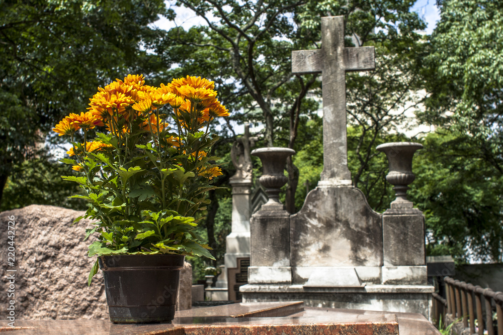 natural flowers on a catholic tomb in Brazil