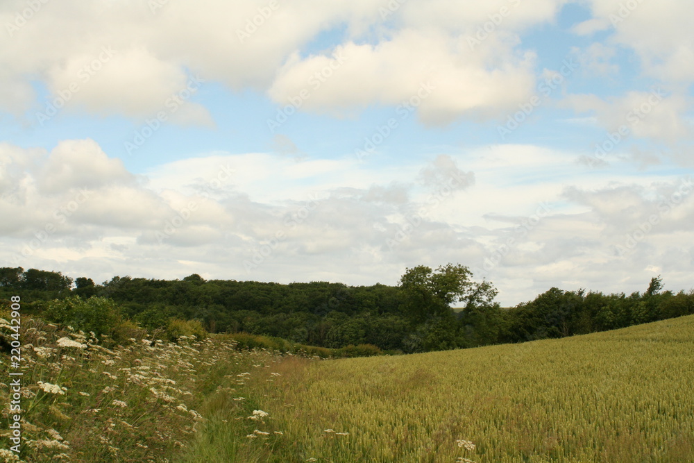 landscapes of UK