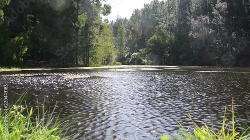 Wind on a lake in a forest wide shot