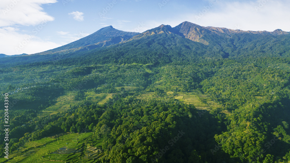 Rinjani mountain with terraced fields