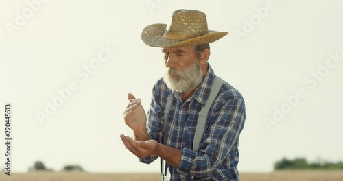 Portrait shot of the senior Caucasian man, agricultural worker, pouring corn of harvest from hand to hand while standingin the field. photo