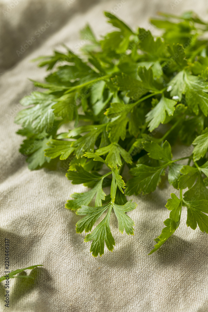 Organic Flat Leaf Italian Parsley Organic Flat Leaf Italian Parsley