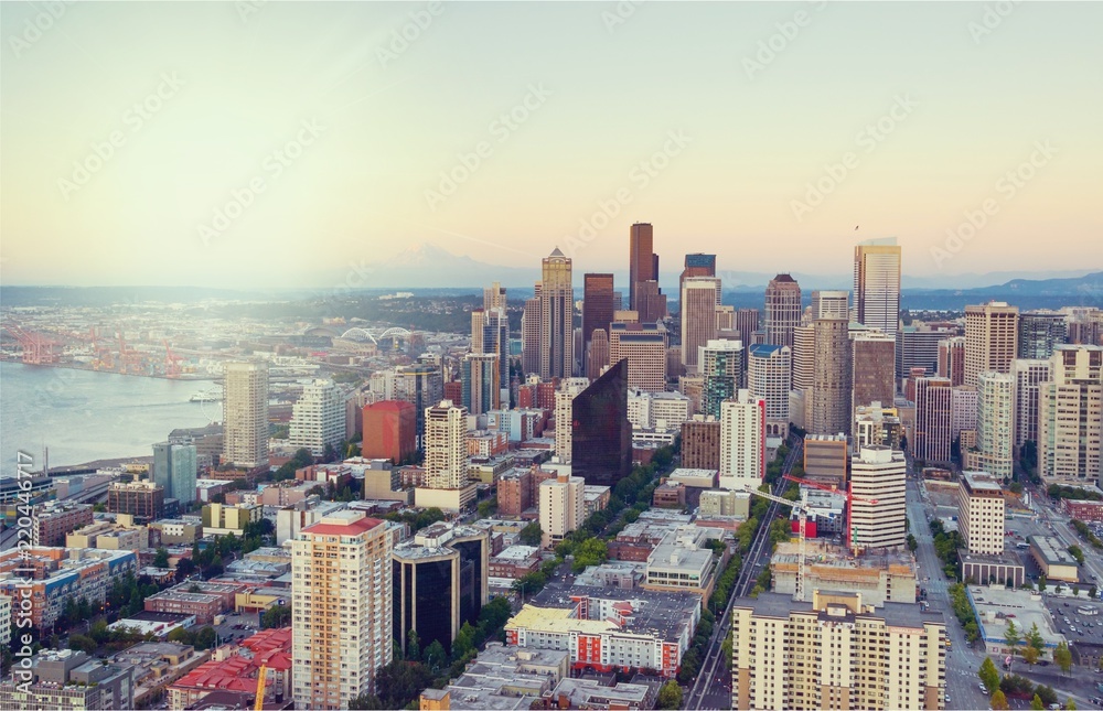 Fototapeta premium Foggy big city concept. Aerial view