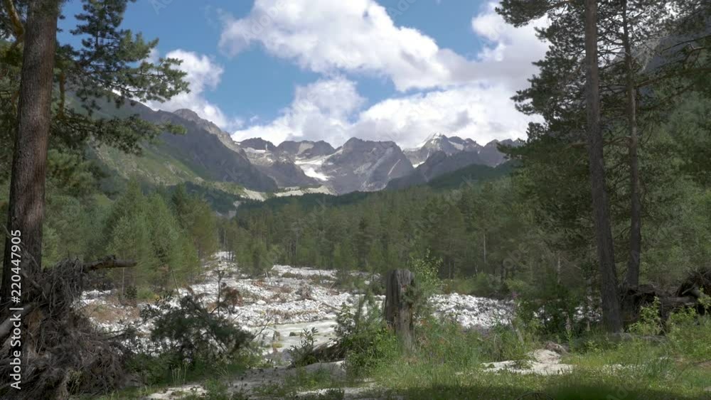 View of the beautiful mountain gorge. Tall trees and snow tops. View of the beautiful mountain gorge. Tall trees and snow tops.