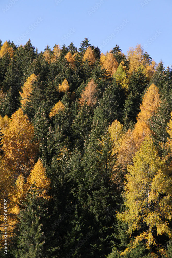 Natura in veste autunnale