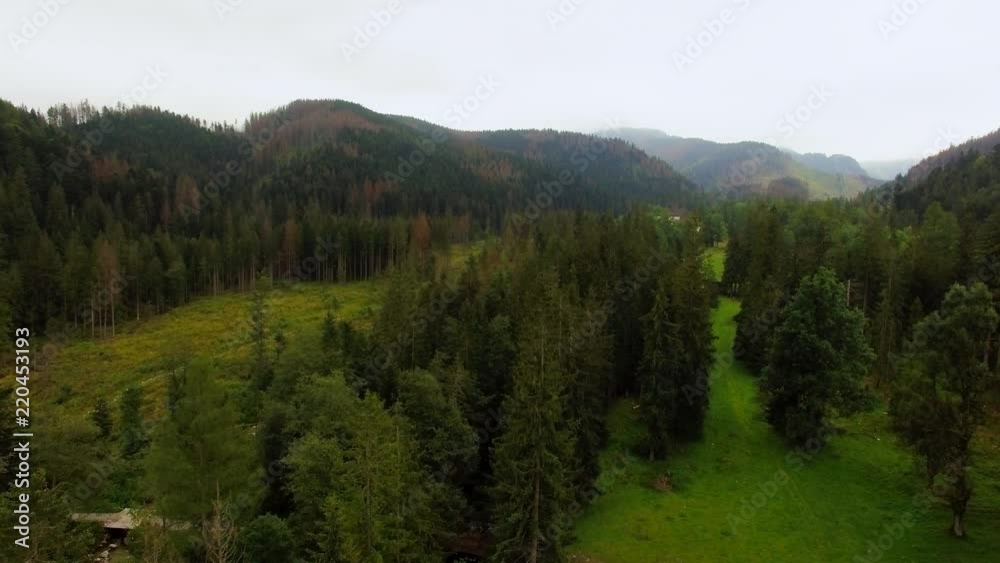 Aerial shot, view between green vegetation and trees in the Tatra mountains, Poland Aerial shot, view between green vegetation and trees in the Tatra mountains, Poland