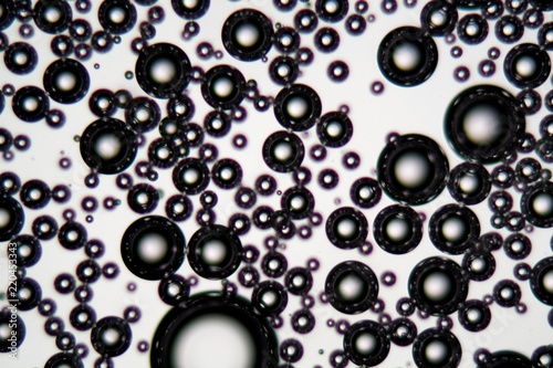 Air bubbles in an surfactant fluid under a microscope photo
