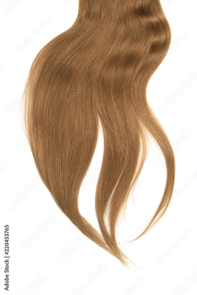 Brown hair isolated on white background. Long disheveled ponytail