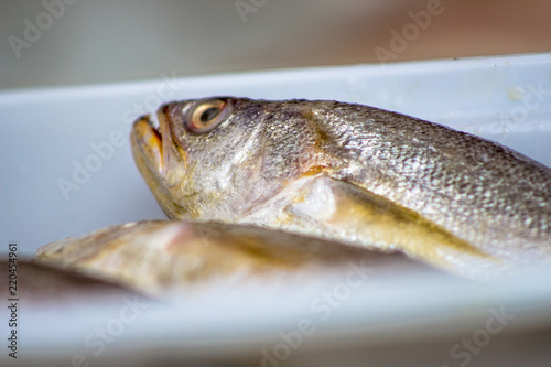 Fish in a tray are exposed in the street market in Sao Paulo