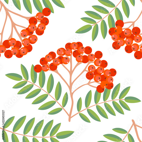 Seamless colorful autumn pattern with rowan berries and green leaves on a white background. Floral rowan vector illustration for print.