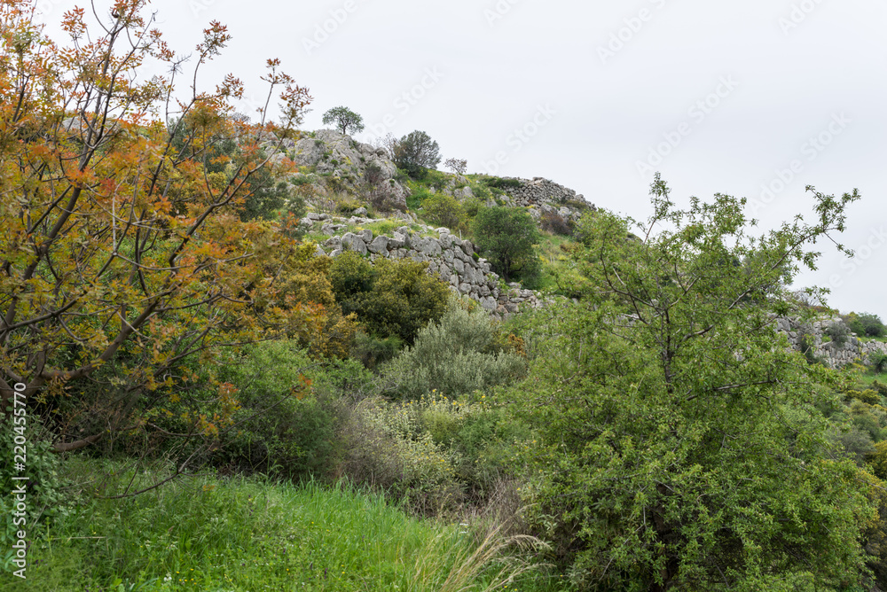 Mycenae archaeological site in Greece Mycenae archaeological site in Greece