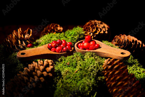 Lingonberry in a wooden mug from Sweden on a bed of moss and cones photo