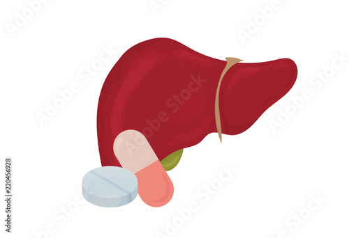 Hepatology and Liver treatment vector illustration: anatomical liver organ with a pill and a capsule. Hepatology prescription drugs icon.