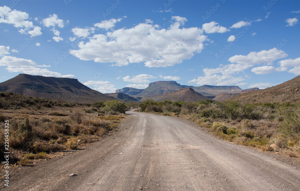 A Sunny Day In The Karoo