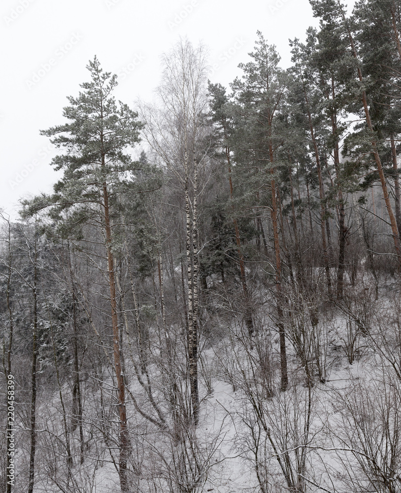 Fototapeta premium Snow drifts in winter