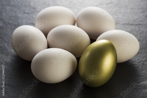 金の卵と普通の卵