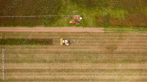 Corn harvest USA Arkansas overhead view looking down on corn fields