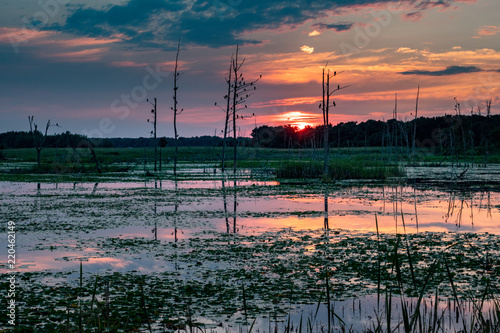 Red Sky over Pond