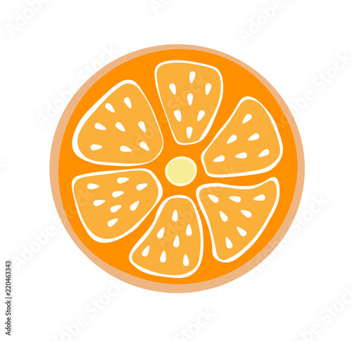 vector illustration orange in a cut, round slice of citrus