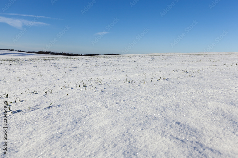 After snowfall After snowfall