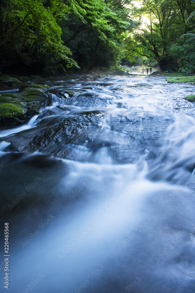 Fototapeta premium 菊池渓谷