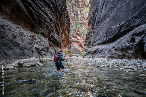 Young Female Hiking Through the Narrows, Zion National Park - USA photo