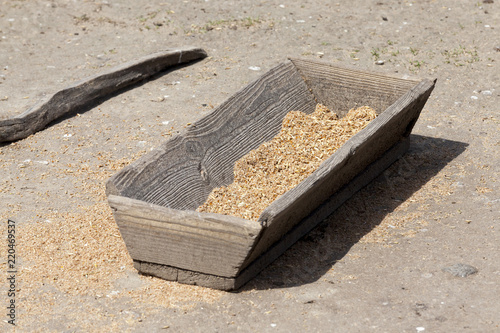 old wooden trough with grain