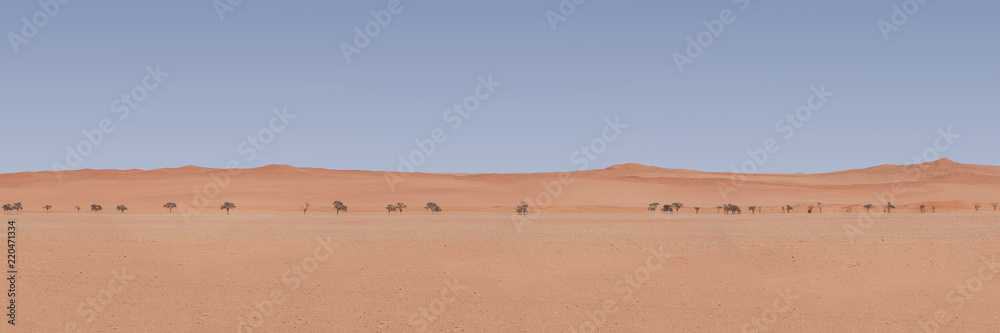 Namibian Landscape