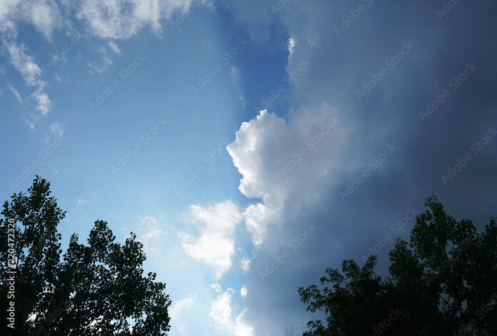 cloud with sunlight in the sky with tree silhouette cloud with sunlight in the sky with tree silhouette