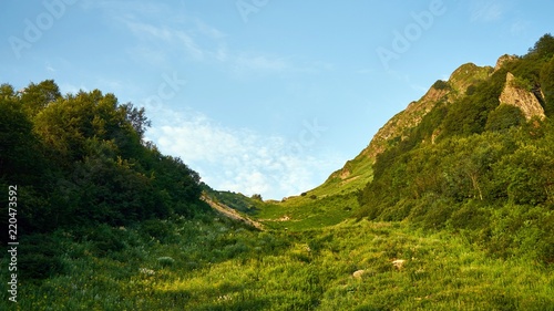 Beautiful green ravine in mountains of Sochi