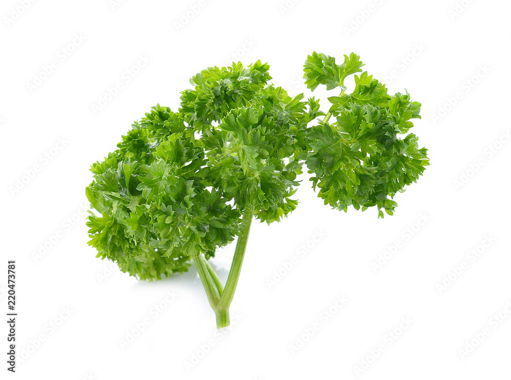 parsley isolated on a white background parsley isolated on a white background