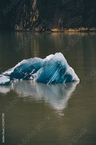Obraz na płótnie Ice w salonie