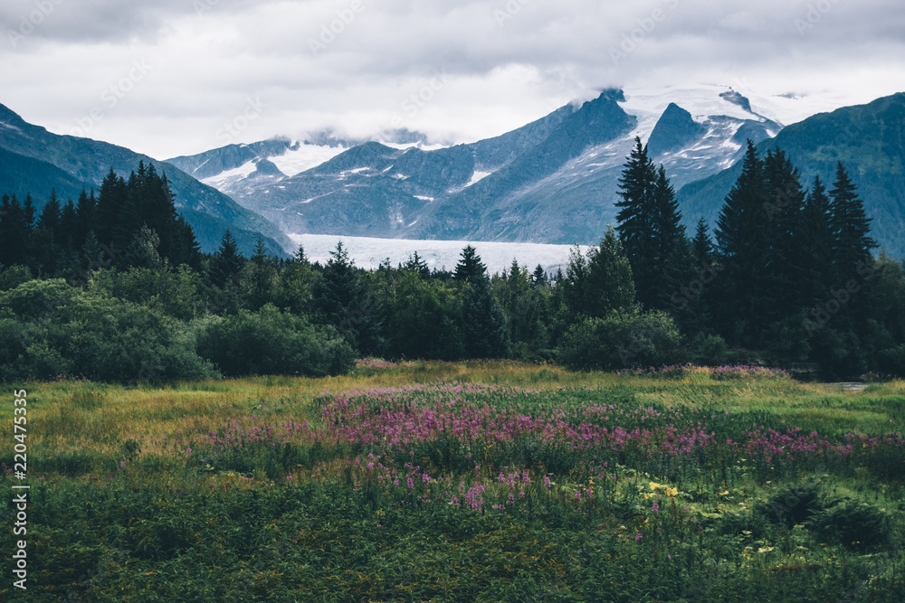 Wild Alaska